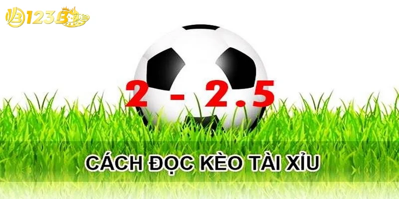 Đặt cược kèo Tài Xỉu 2.25 đòi hỏi người chơi phải có sự hiểu biết sâu sắc